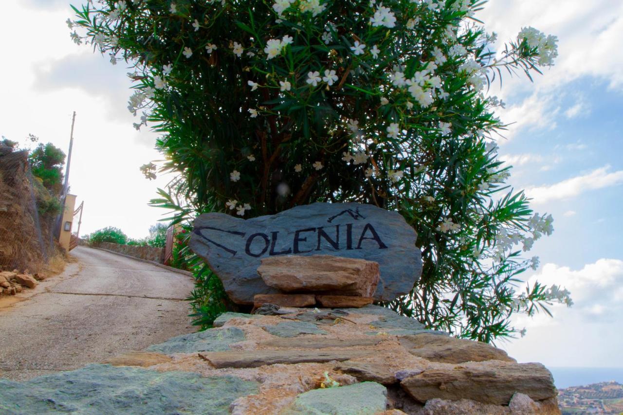 Olenia Residence 阿齐亚·佩拉加 外观 照片